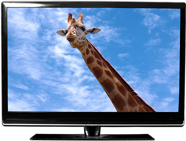 Zein da LED telebistaren eta LCD telebistaren arteko aldea